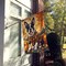 Edge Collections - 28" x 40" - Multicolor - Boston Terrier Fall House Flag Decorative Sleeve Pole Flag - 1 Piece